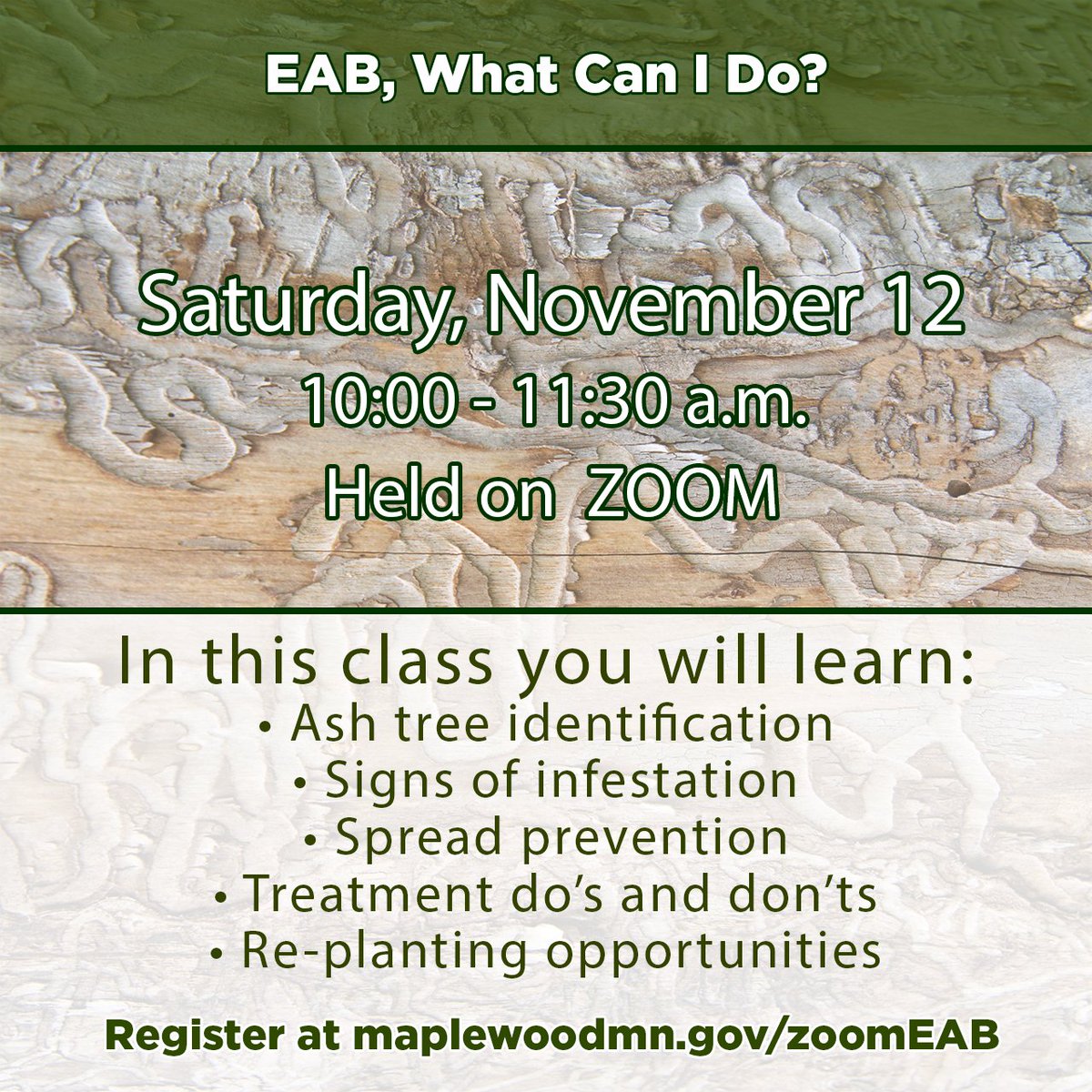 Maplewood Parks & Natural Resources tweet media