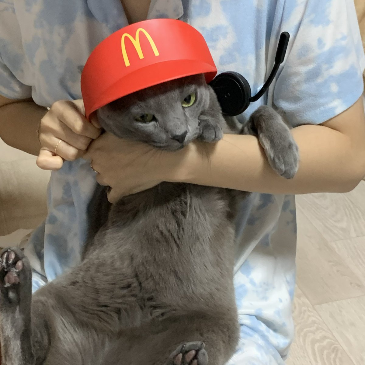 아 취직 안한다고