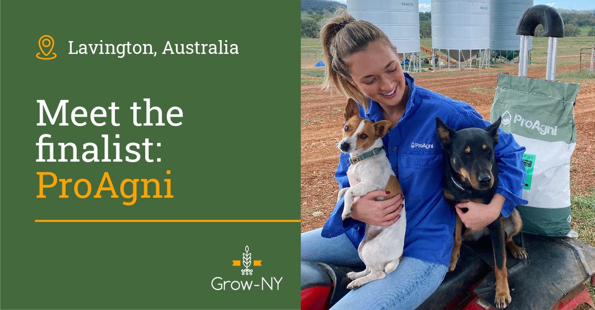 Meet #GrowNY 2022 finalist <a href="/ProAgni_AIF/">ProAgni</a>, an agriculture #biotech startup developing sheep and cattle nutrition products with no antibiotics to maintain animal health and safety and use feed more efficiently. Meet all 20 finalists at bit.ly/2022GrowNY-Fin….