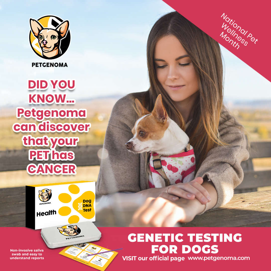 petgenoma's tweet photo. Now you can know if your pet has cancer as soon as possible! It's time to invest in your pet's health. Contact us #PetGenoma #DogGenetics #DogDNATest ๐ถ ๐ ๐จโโ๏ธ https://t.co/jHafpZAI6U