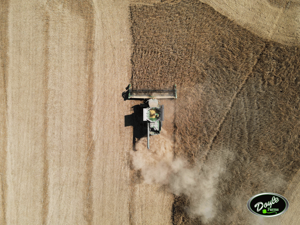 Doyle Equipment Manufacturing Co. tweet media