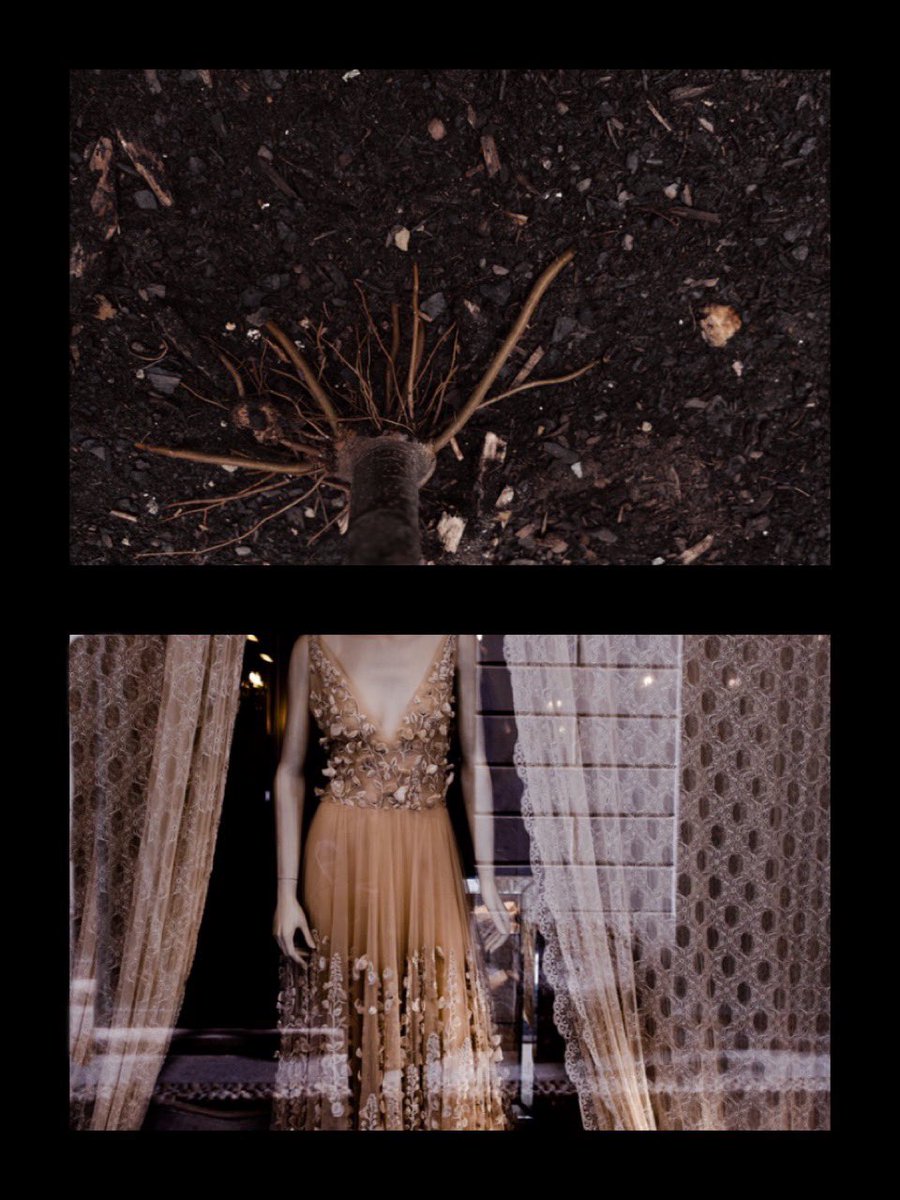 Emely Timm tweet media