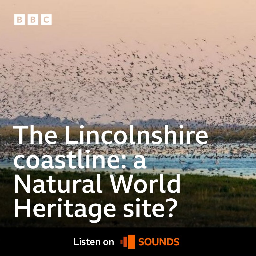 The Lincolnshire coast COULD become a Natural World Heritage site thanks to the @RSPBEngland. Hear more with @melvynprior just after 3pm ⬇️ bbc.in/LincsListenLive