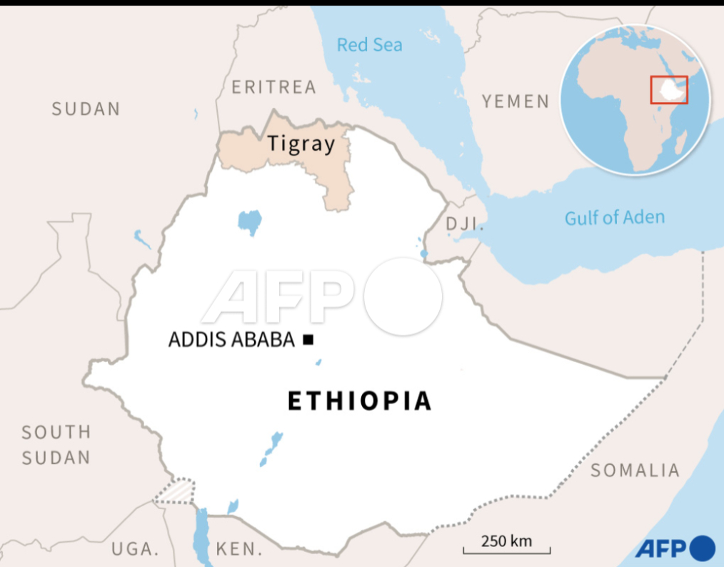 AFP's tweet photo. #BREAKING WHO chief says 'very narrow window to prevent genocide' in Ethiopia's Tigray region https://t.co/hCoxJEZXlK