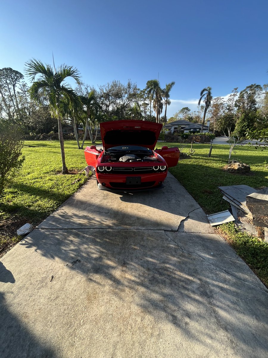 I need to name this bitch 🥰