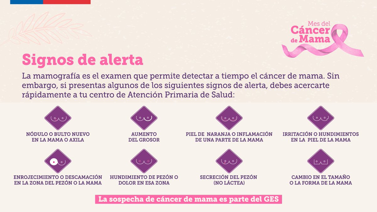 SeremiSaludM's tweet photo. Hoy es el Día Mundial de la Lucha Contra el #CáncerDeMama🎀 oportunidad en que como Seremi de Salud Maule hacemos un llamado a la prevención y detección precoz para un mejor diagnóstico.

#HazteLaMamografía https://t.co/ShNgQWGwu4
