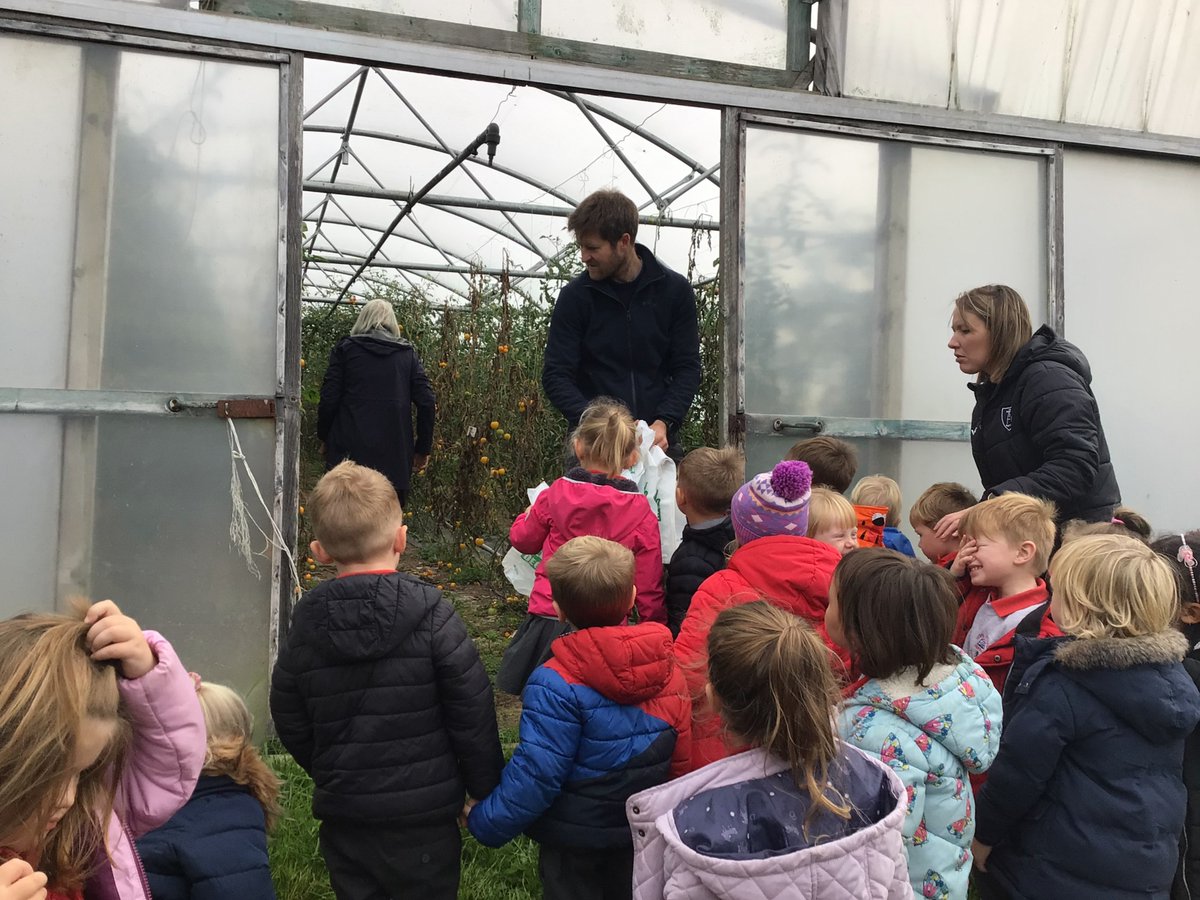 Ysgol Aberaeron tweet media