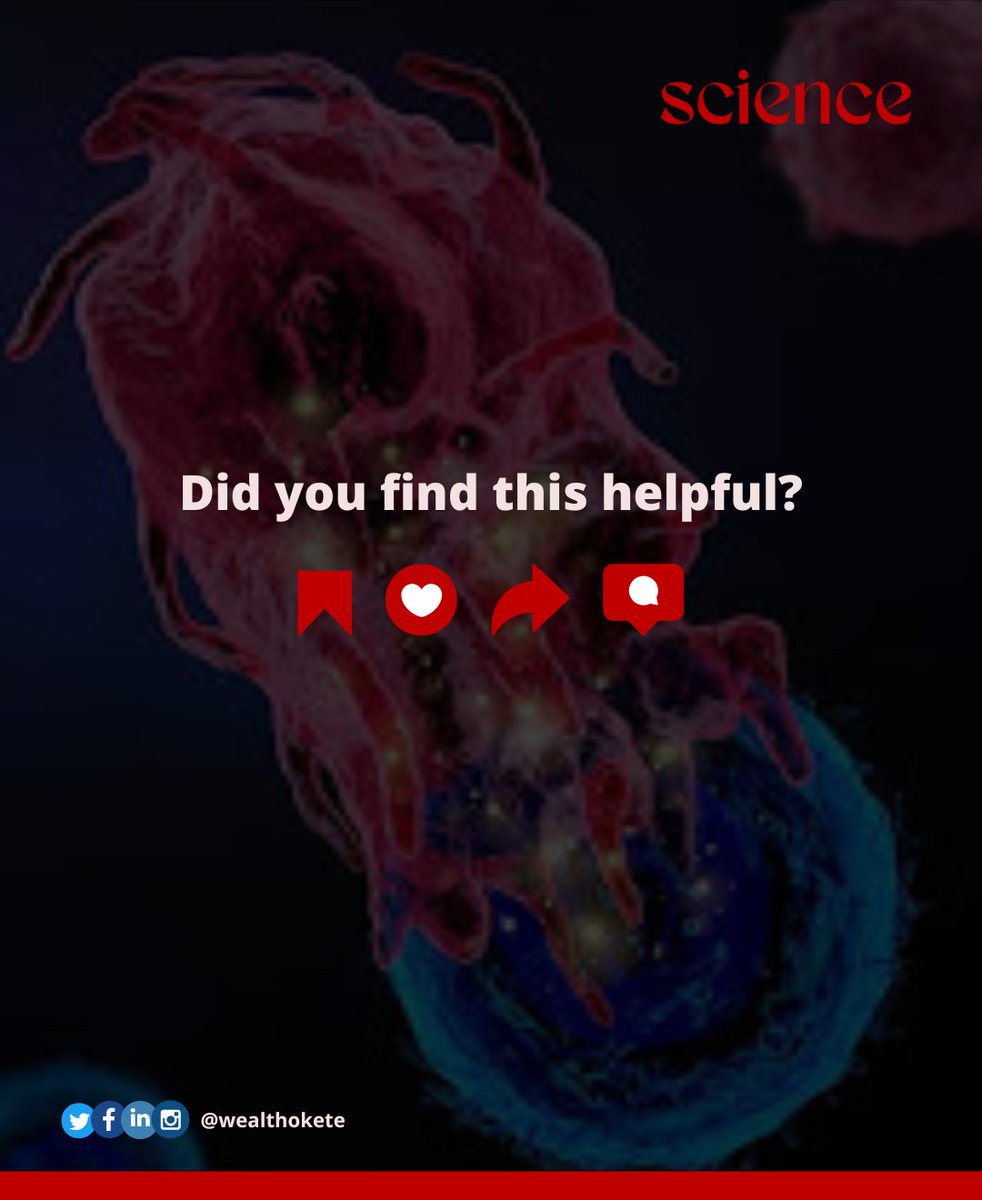 wealthokete_'s tweet image. What does it mean for a cell to commit suicide?

Swipe to find out!

#apoptosis #celldeath #programmedcelldeath #cancer #diseases #health #scicomm #sciencecommunication #scienceeducation