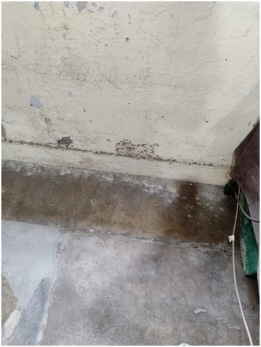 These 4 pictures illustrate the initiative taken under Special Campaign 2.0, Swachh Bharat Abhiyan was taken at FSD Dhuri under FCI DO Sangrur