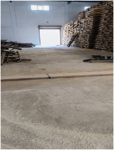 These 4 pictures illustrate the initiative taken under Special Campaign 2.0, Swachh Bharat Abhiyan was taken at HG Moonak under FCI DO Sangrur