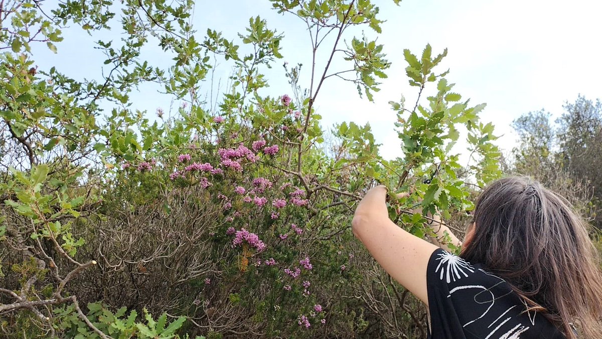 Mèdol - Centre d’Arts Contemporànies de Tarragona tweet media