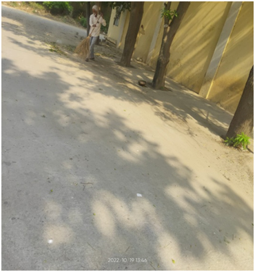 These 4 pictures illustrate the initiative taken under Special Campaign 2.0, Swachh Bharat Abhiyan was taken at FSD Sangrur under FCI DO Sangrur