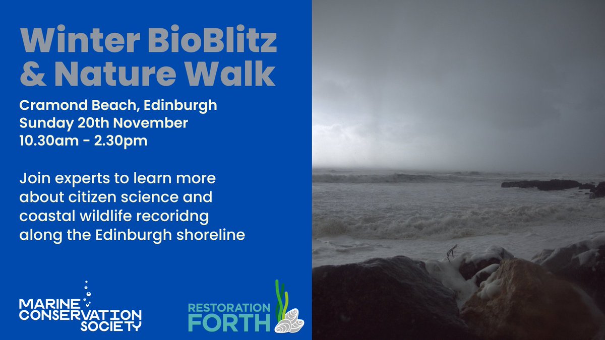 wildscotplace's tweet photo. Excited for this winter wildlife event with @mcsuk &amp; #RestorationForth partners. Winter BioBlitz and Nature Walk along the #Edinburgh shoreline. Birds, rockpools, seagrass, coastal plants, seaweed &amp; more. Book your free place - https://t.co/S1XHHqlRTj https://t.co/XBMYH3S8g1