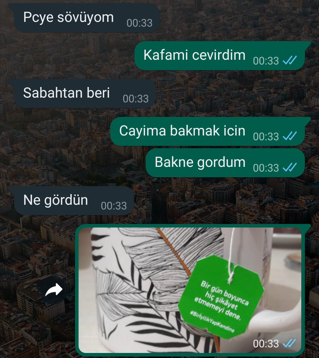 minoscum's tweet photo. Evren, bir karadenizliyi sakinleştirmek için yeşil çayıma bu mottoyu koymuş olabilir mi? https://t.co/1AbAsydi1Q