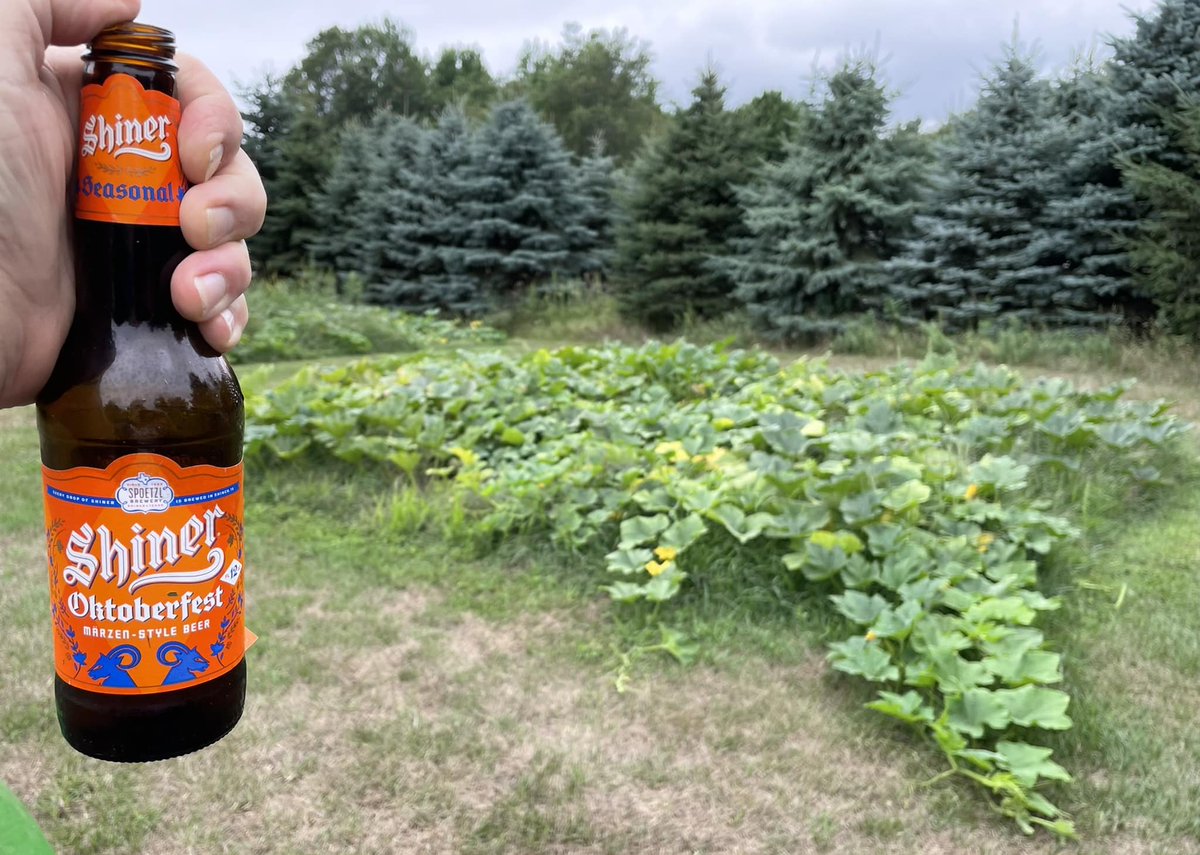 Shiner Oktoberfest by Spoetzl Brewery #beer #craftbeer