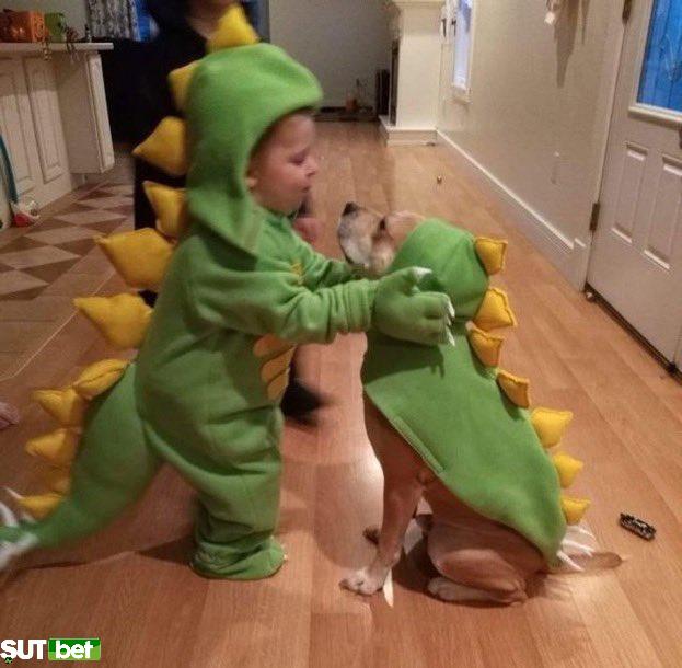 cuteanimalspict's tweet photo. https://t.co/kWtExVVy0N