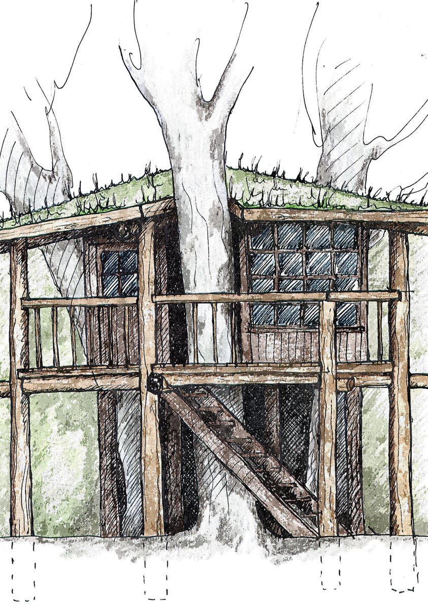 Concept sketch for a treehouse. Local sweet chestnut poles, recycled timber and windows, turf roof. Trees enveloped but not attached to or harmed. A rustic hideaway. #treehouse #hideaway #sanctuary #quietplace #garden #innersanctuary #playspace #recycledwood #gardensdesigner