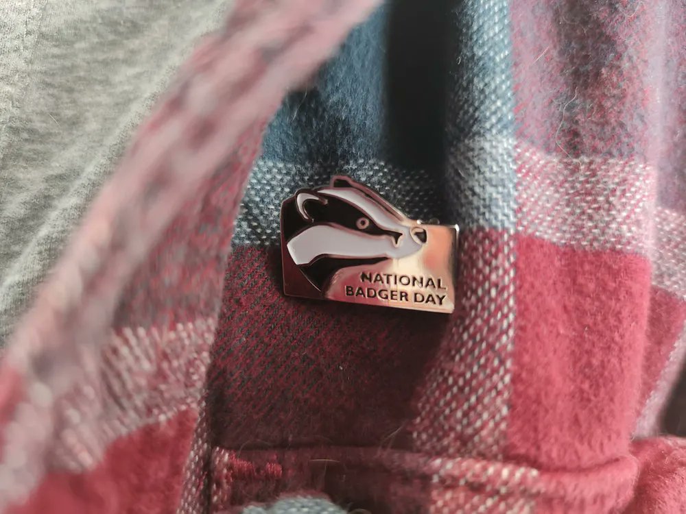 Receive a FREE #NBD22 pin badge when you join our clan this #Brocktober and help fund work to further the protection of badgers 🦡 The best perk of becoming a Badger Trust supporter? Knowing that you could help us save this iconic species 💙 Join our clan>buff.ly/3gXUBWd