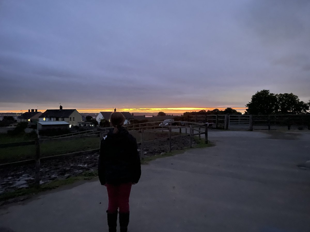 lauracatherall's tweet photo. The best start to the day, the world is waking up #horselife #newday #sunrise #goodmorning #justbreathe https://t.co/I5pNEAdiaz