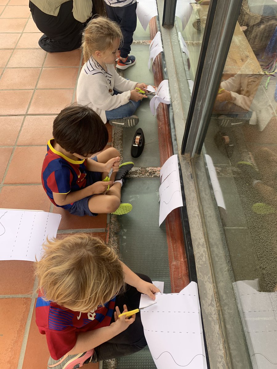 Mireia131's tweet photo. Practiquem ✂️ #retallar #línia #entrenar #aprendre #fernosgrans #funcióbàsica #coordinacióoculomanual #motricitatfina #ei4 #escolasadako #educacióinfantil https://t.co/DN7kHQdEU5