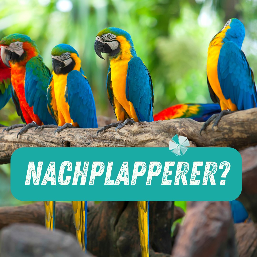 TOP_Frauen's tweet photo. Wer plappert wem nach? Im Online-Talk des Frauennetzwerk TOP-Management Pflege wollen wir die geschlechtsspezifische Chiffre am Donnerstag, 27.10. entschlüsseln. Für Netzwerkerinnen kostenfrei. Jetzt anmelden: kontakt@topfrauen-netzwerk.de https://t.co/EpsytTReSH