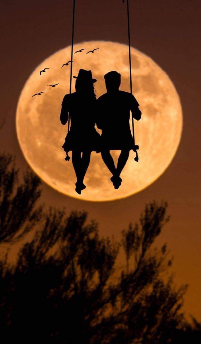 Badraan_7's tweet photo. ✧
  🏸
يُقال أن *أڪـتـوبر*
 ڪـان شهر ولادة 『 *آلُـقـمـر* 』
             *لـذالـــᓚ۶ᒧ*
 ڪـل مواليده يملكون
    ± °  نوراً في
           ℘ *وجـوهـهـم*
  و نوراً في ╗╘ *قـلـوبـهـم*
هـم سـڪـر  ≈ *وسط مرارة الـ۶ـالـم* ན
   
┈┈┉✿•༻♥༺•✿┉┈┈ https://t.co/Ppno4eIKUn