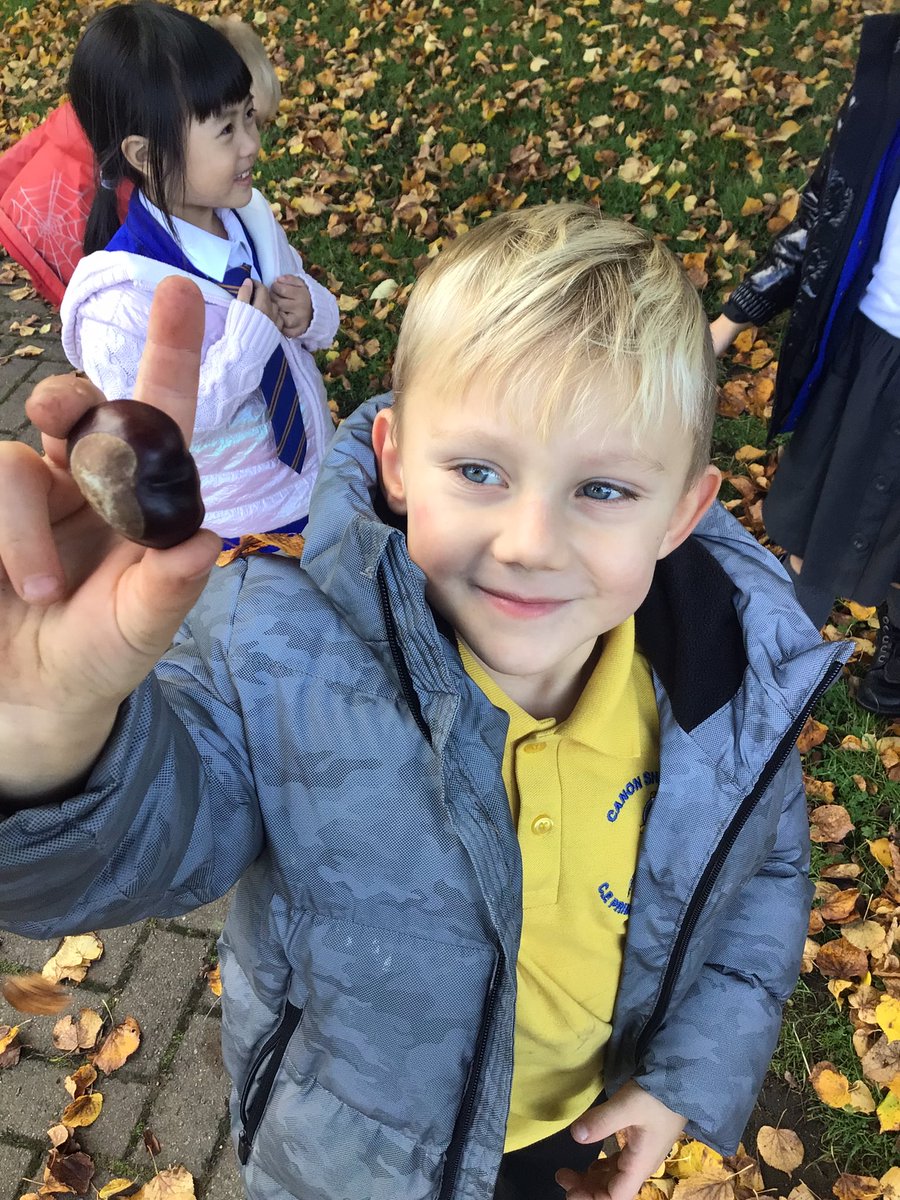 Canon_Reception's tweet photo. We have enjoyed an autumn walk around our school grounds. We found lots of signs of autumn! π¦πππ° @Cornerstonesedu #ExploringAutumn #EYFS #understandingtheworld #cspsscience @CanonSharples @LT_Trust https://t.co/aNf3rjJMOk