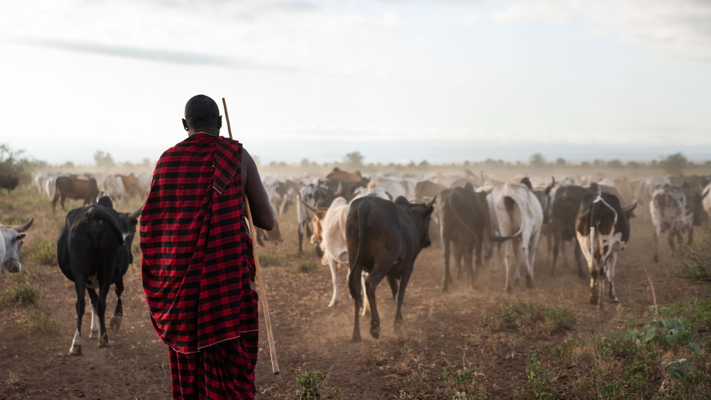 BLOG: Valuing a traditional lifestyle: how Maasai herders are being paid to protect nature and combat climate change --> iied.org/valuing-tradit… Guest blogger Jo Anderson shares how a community-run conservation area becomes financially sustainable thanks to carbon revenues.