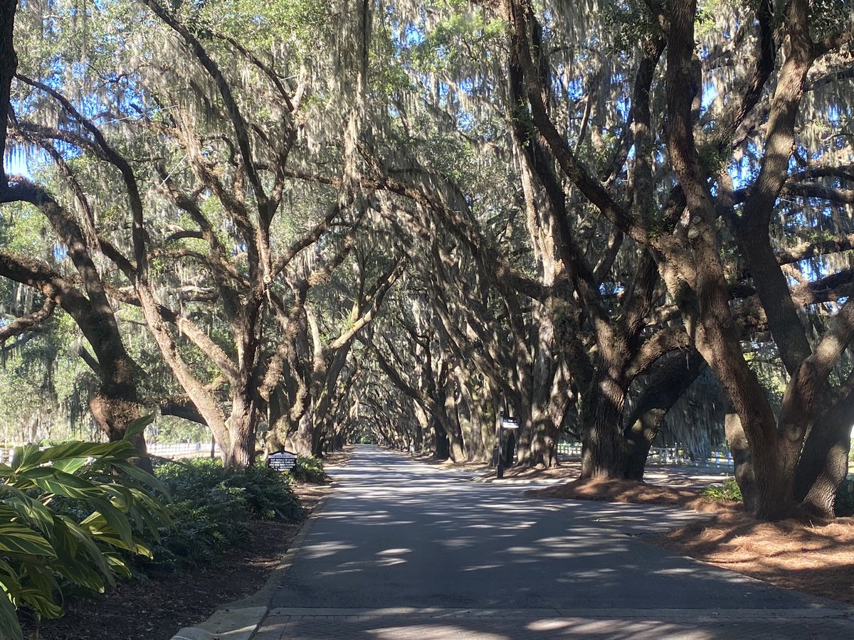 Kris Strauss tweet media