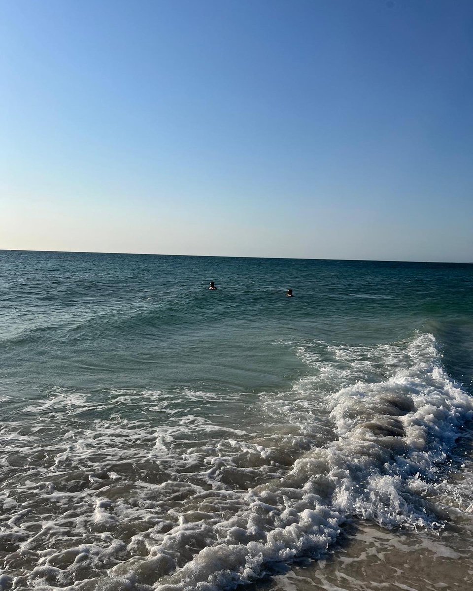 Channel 31 tweet media