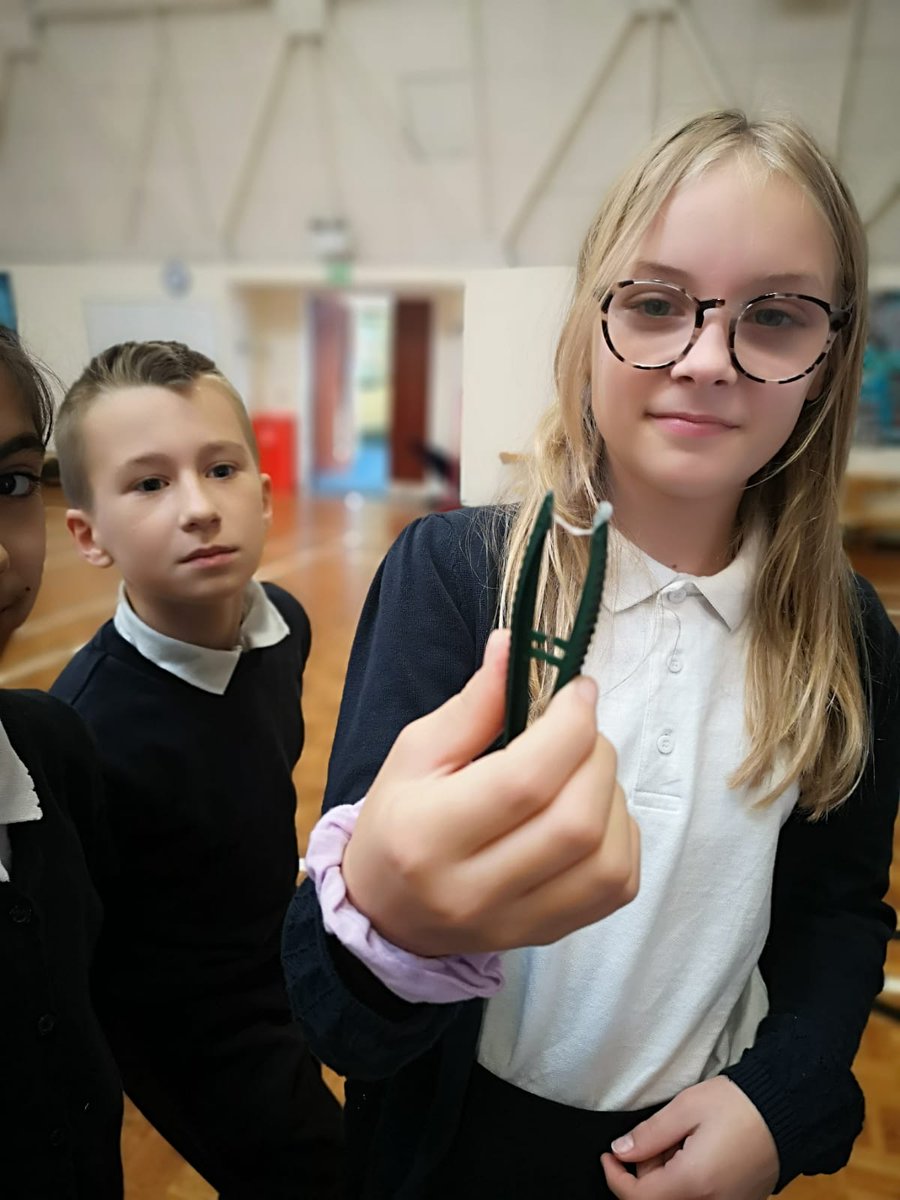 HandfordHallPS's tweet image. Year 6 students are learning about DNA today 
#fabscience