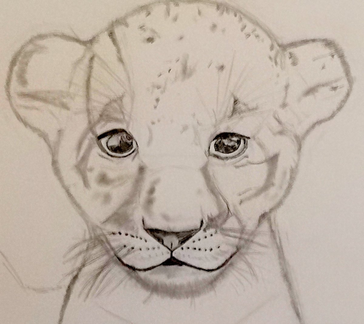 mojomarconi's tweet photo. Pals humummy has made a start on drawing a roary lion cub.  #drawingbyhand #cancersurvivorart #cancersurvivor #graphitesketchartist #DogsOnTwitter https://t.co/y4uWA0UuTC