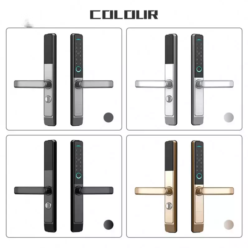 New Style Waterproof Wifi App Smart Door Lock Biometric Broken Bridge Aluminum Frame Doors Lock
#smartdoorlock #smarthome #smartdoorlock #waterproofdoorlock #Biometricdoorlock #lockforglassdoor #fingerprintdoorlock #codeentrydoorlock #madeinChina