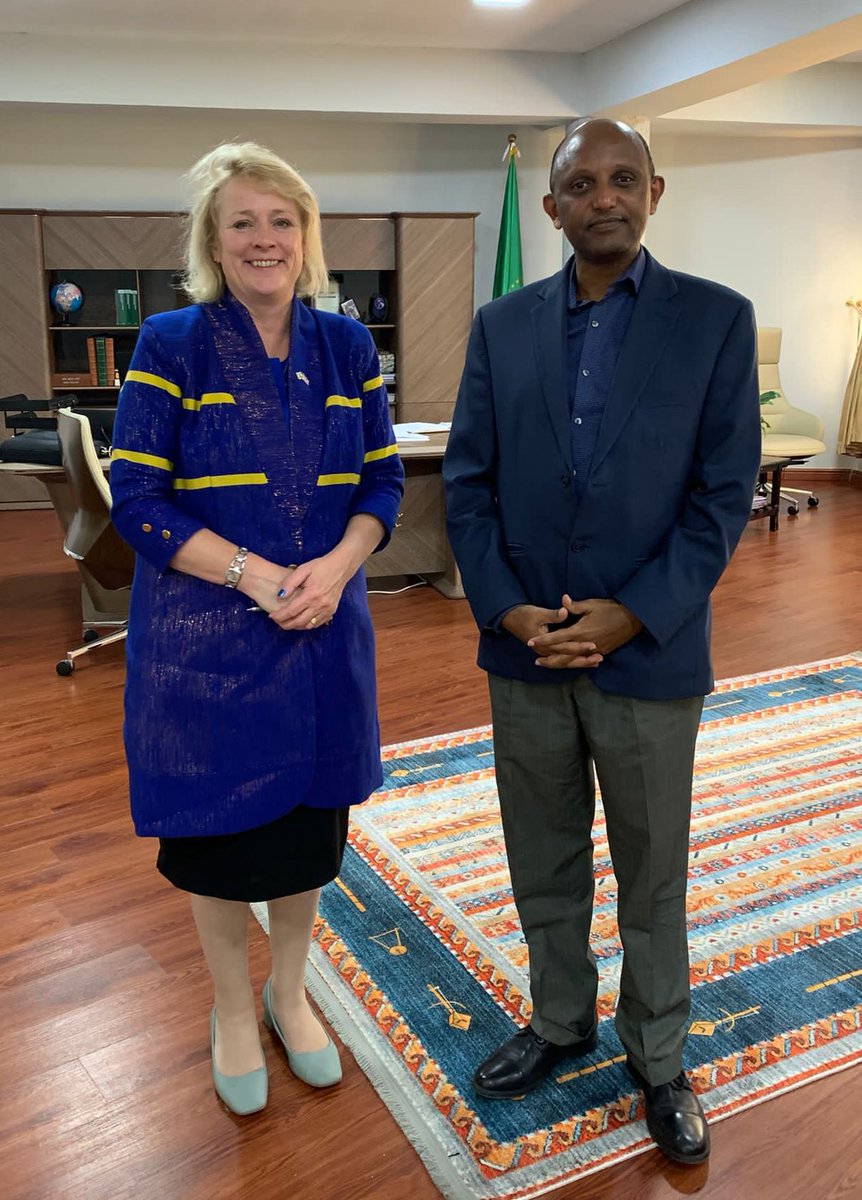 Good to meet @EthioHRC Chief Commissioner @DanielBekele. Very concerned by grave human rights situation in Ethiopia – which is still deteriorating. Especially concerned for women and girls in Tigray at this time