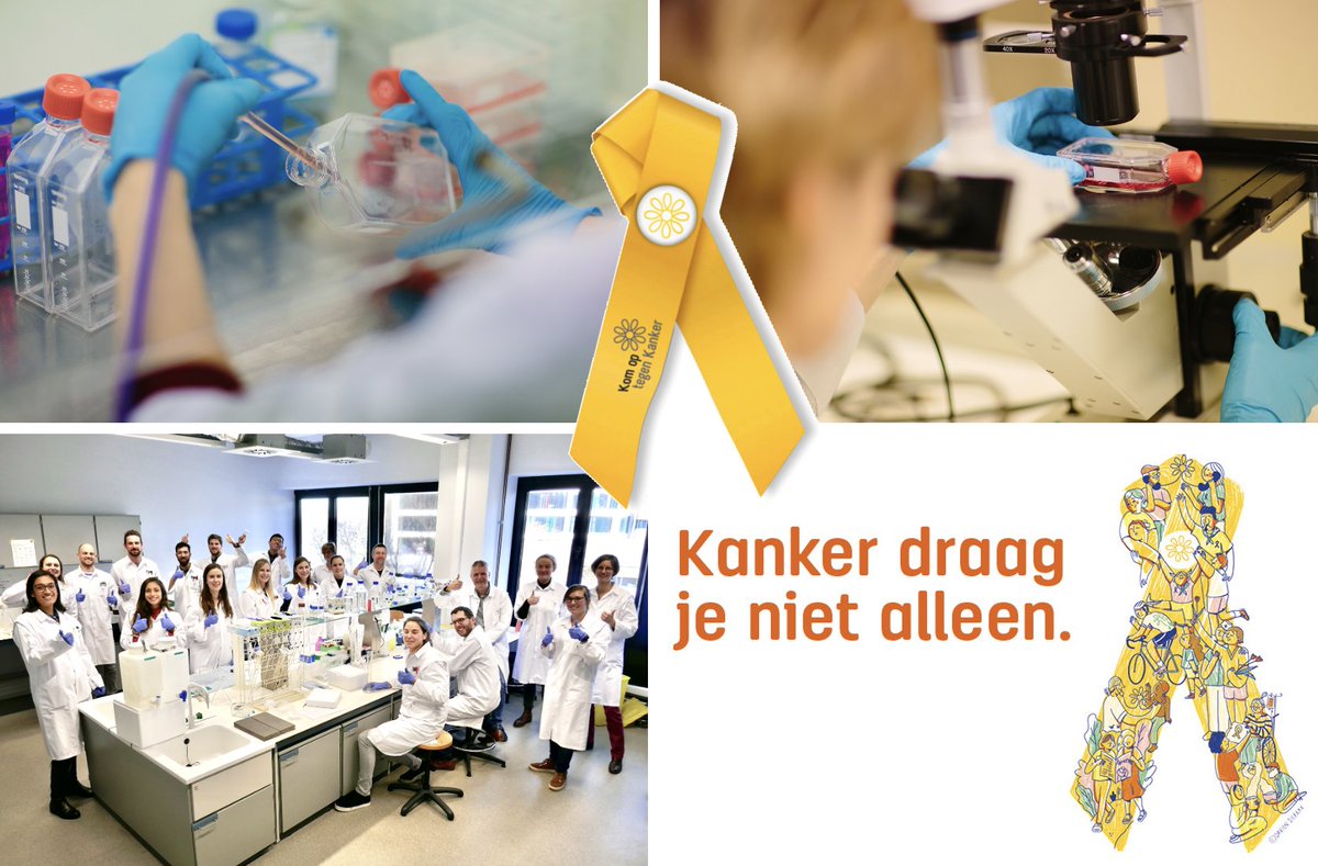 Morgen is het #dagtegenkanker 🎗 Een hart onder de riem voor iedereen, van onderzoeker tot patiënt. Op de vooravond van deze dag ga ik mee aan #DeTafelvanVier @Play4_be om te vertellen waar we met ons onderzoek naar #kanker vandaag en morgen staan 🔬 📺 vanavond 19.10, 20u, Play4