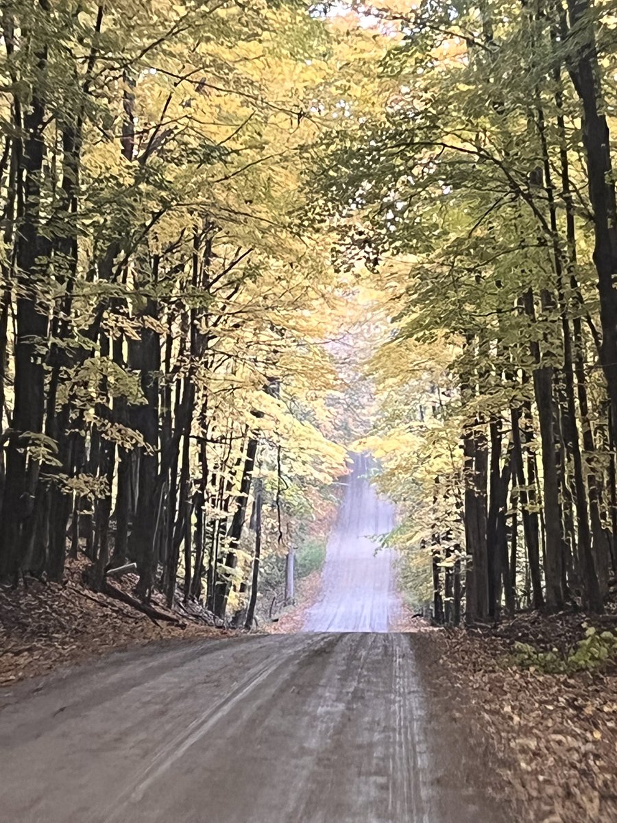 notesfromshell's tweet photo. Love taking pictures while traveling the back roads. https://t.co/g86Z7q5znF