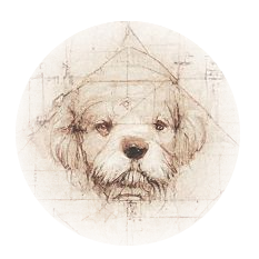 DigitalCoinsNet's tweet photo. Animal Farm - Dog Pound - Reduce your tax costs

#AnimalFarm #Drip #Defi #money #PassiveIncome

https://t.co/FlCQMkRawI https://t.co/qOPA0bXVnb