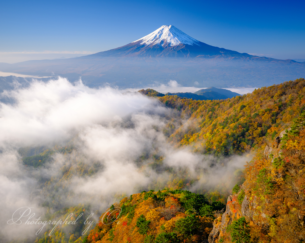 紅葉と雲海の向こうに浮かぶ富士山がキレイでした😊