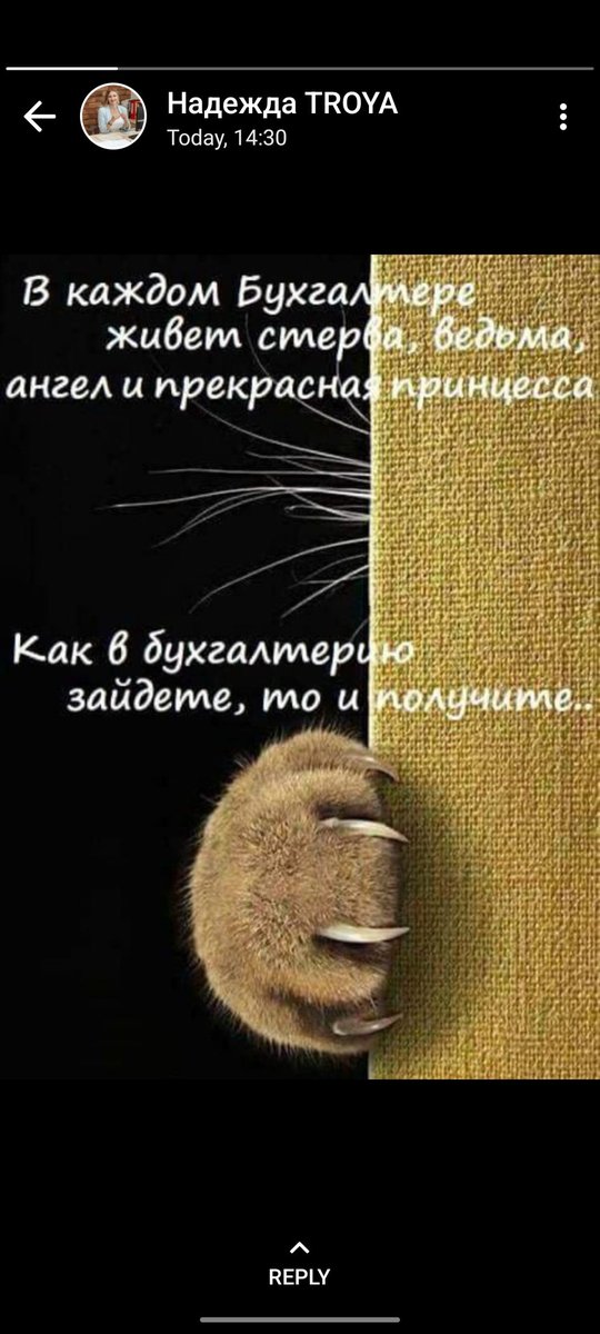 tiny_cat_robot's tweet photo. Ну вы ещё спрашиваете почему такое отношение к бухгалтерии.... https://t.co/hGlHnpHvsn