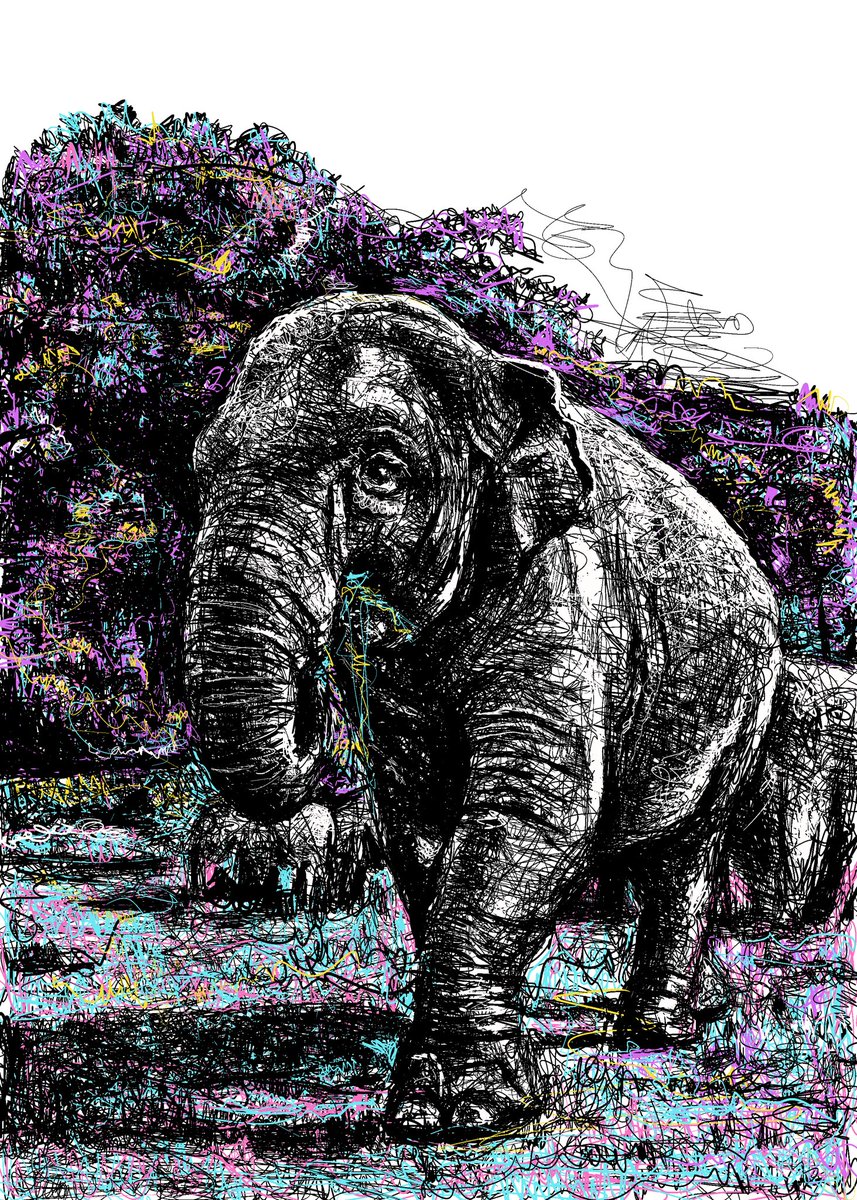 #elephen