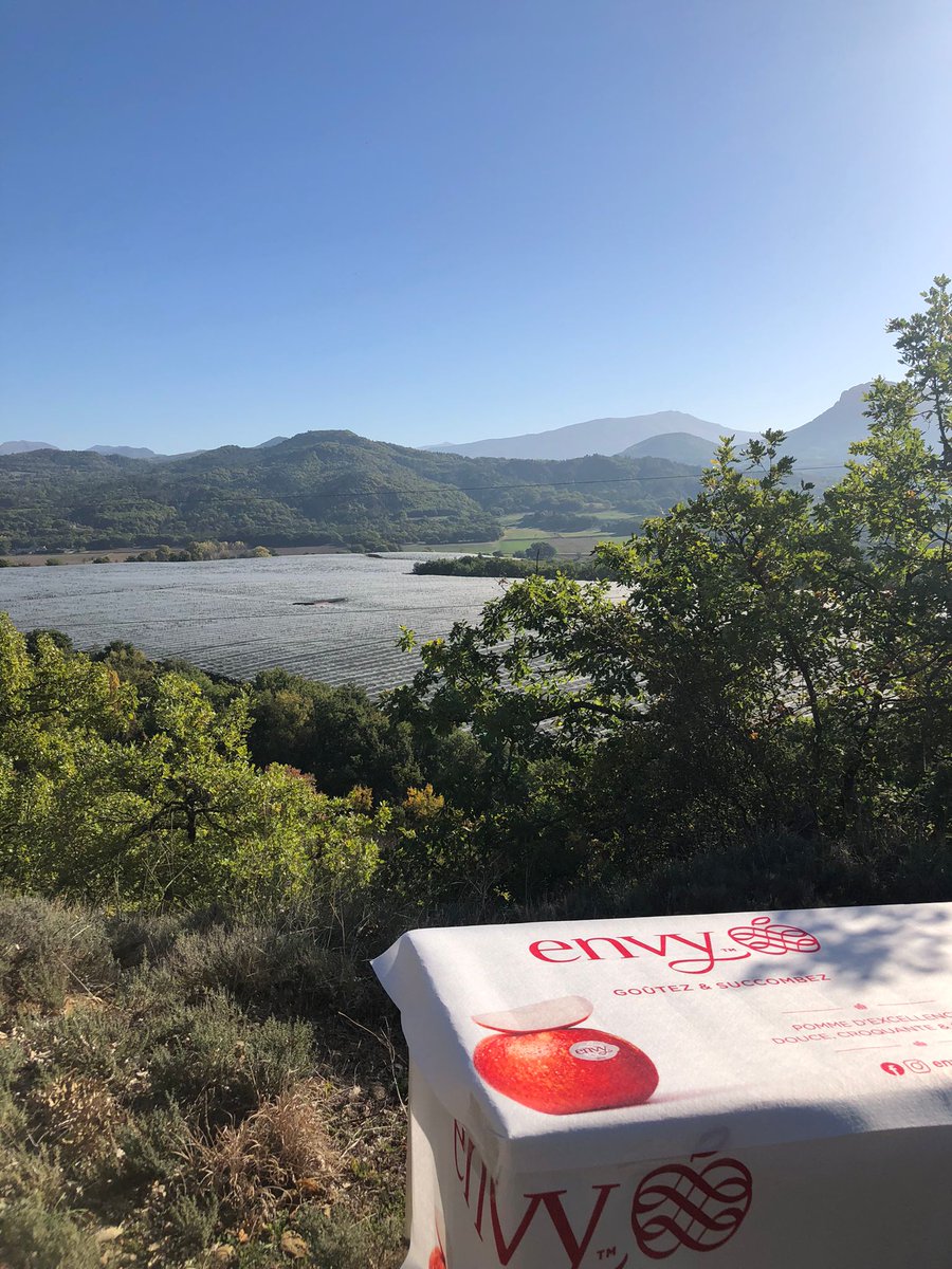 AgenceLaparra's tweet photo. Belle journée d'échanges entre producteurs et clients dans les vergers Envy de Blue Whale à Sisteron ! 😁
#laparra #pommesbluewhale #envy #pommes #grossistes #marchederungis #rungis #minderungis #monloup https://t.co/y4rGiJx5AJ