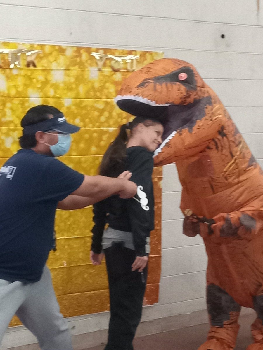 Amy H Farber (@amyhfarber2) on Twitter photo 