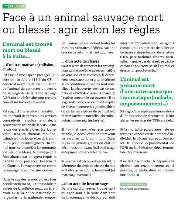 GSouchay's tweet photo. Petit rappel des règles à respecter face à un animal sauvage blessé et/ou mort #schroedingercat
Paru dans le dernier numéro de #Biodiversité, revue de l'@OFBiodiversite
+ d'info ici : https://t.co/UaYV9Z1oZD https://t.co/wB4Uk2ARlV