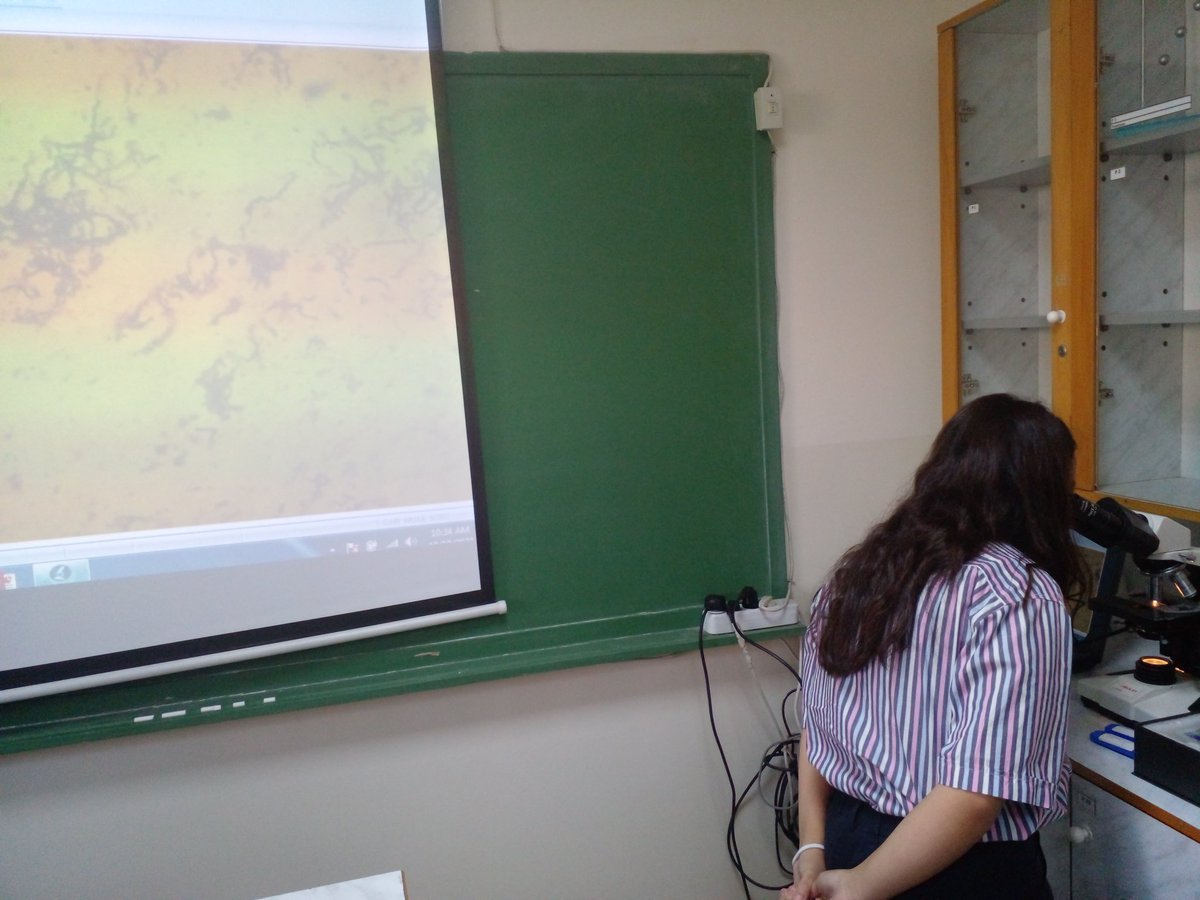 TahaniDandashli's tweet photo. Grade 9 students are observing bacterial smear using the  mircosope' eyepiece.
#labwork 
@manar_kanawaty @MakassedSaida https://t.co/avtNhhB2zQ
