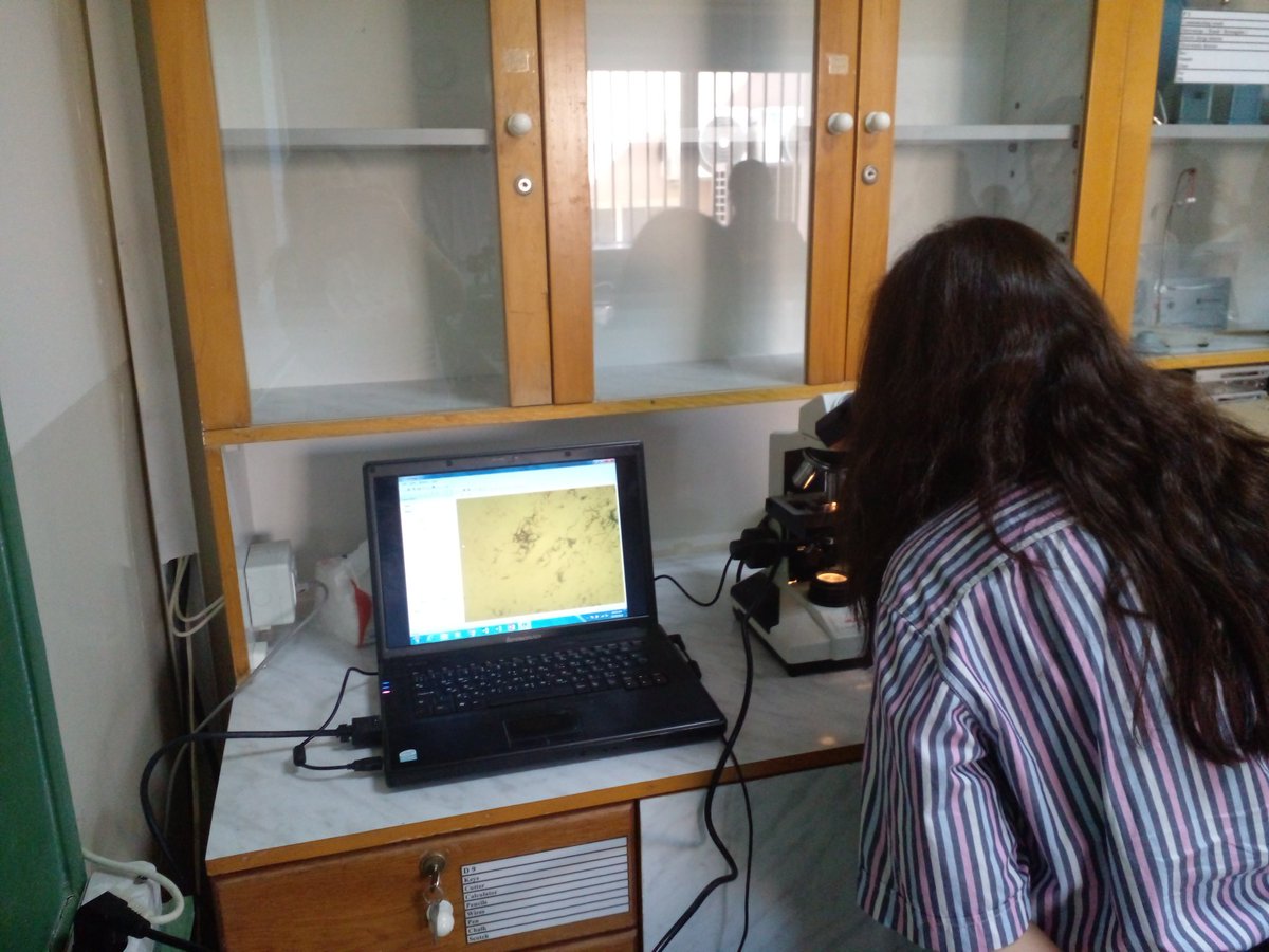 TahaniDandashli's tweet photo. Grade 9 students are observing bacterial smear using the  mircosope' eyepiece.
#labwork 
@manar_kanawaty @MakassedSaida https://t.co/avtNhhB2zQ