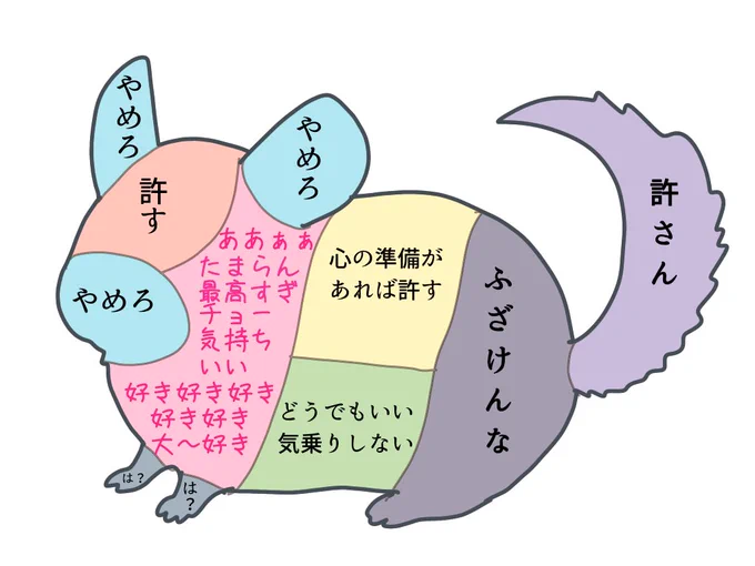 チンチラだとこうですね。 