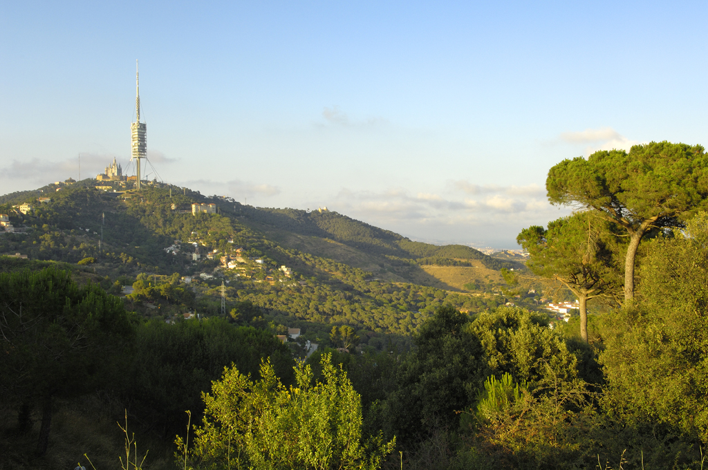 parcncollserola's tweet photo. 🌿#Collserola no és només un Parc, és un #ParcNaturalProtegit🌿
Per saber més:
🔗Declaració de Parc Natural:
https://t.co/2KHR2mismN
🔗Pla Especial de Protecció del Medi Natural i del Paisatge del Parc Natural de la Serra de Collserola (#PEPNat) https://t.co/3umPNQLGos https://t.co/DohwOrkdsu
