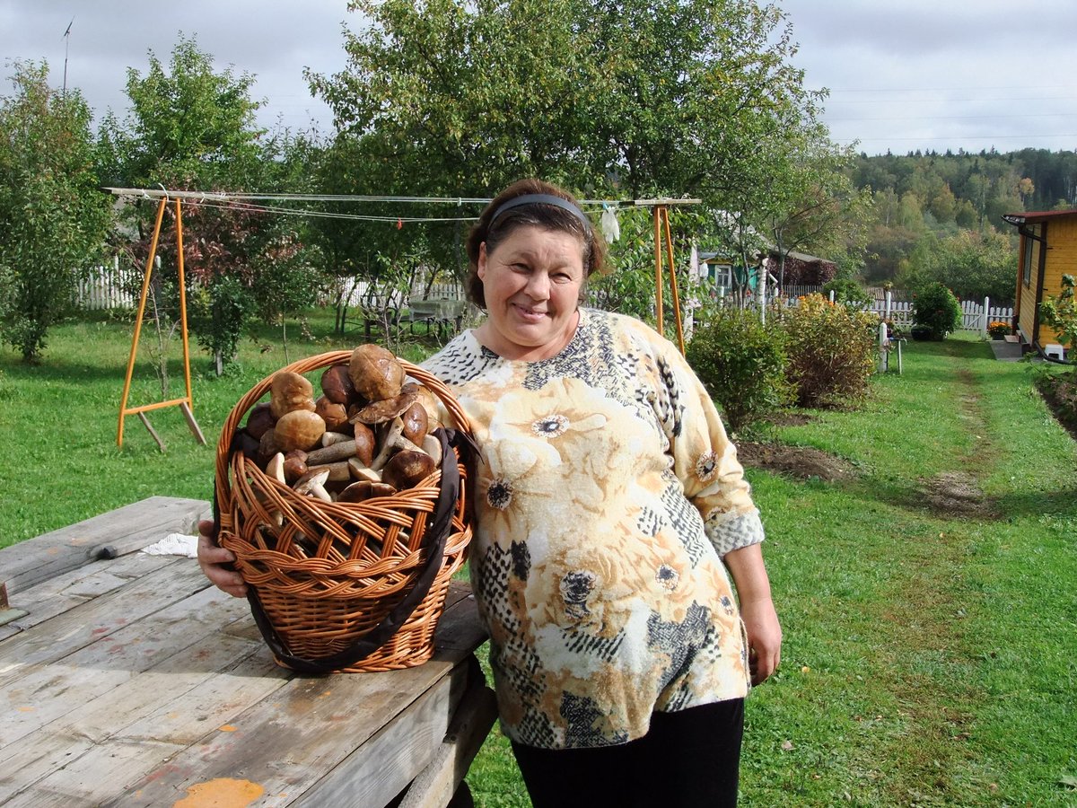 А вот и жена настригла беленьких, лукошко с погонялом😉