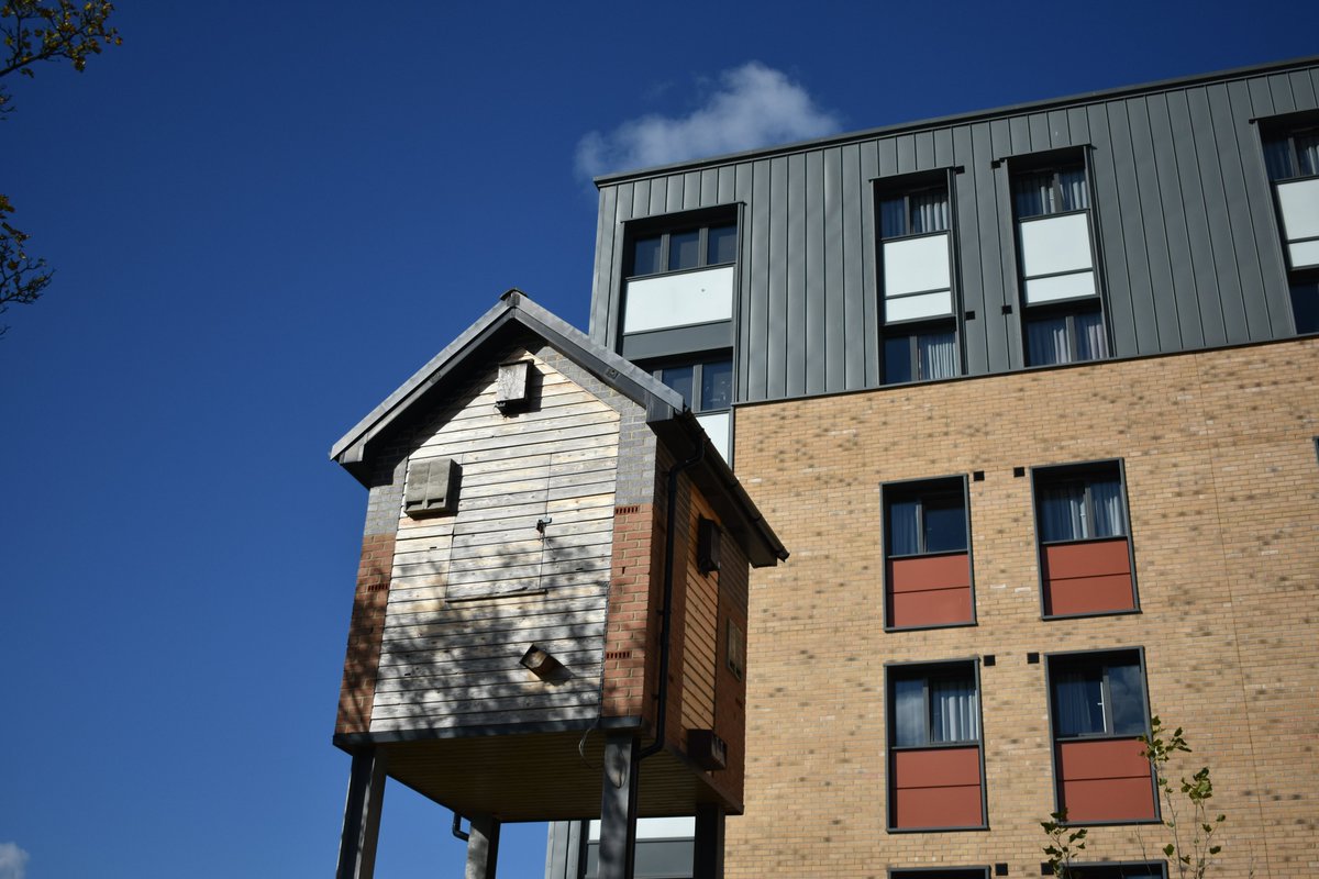 Did you know we have 2 bat barns and 39 bat boxes positioned around campus for our furry friends to roost in? 🦇