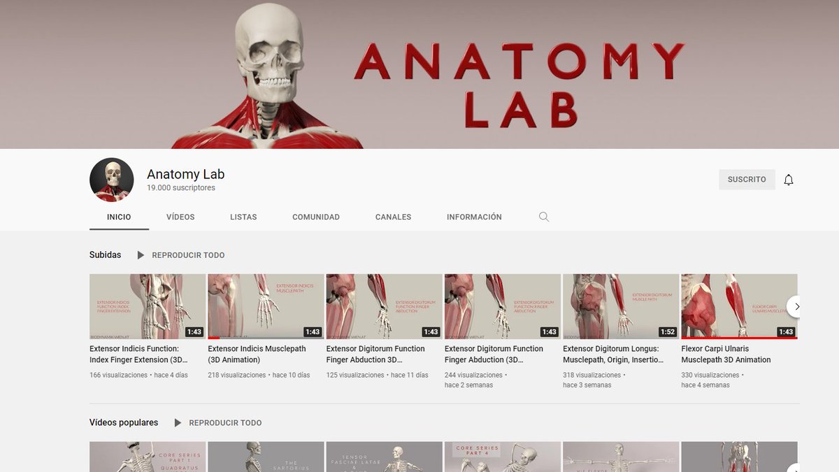 RobertTejero's tweet photo. 📌De los mejores canales de #youtube que conozco para estudiar #anatomia!!

📽️📚
https://t.co/CXUIJFaazb

#anatomy #muscle #sport #anatomylab #function https://t.co/MVxzUtzKM3